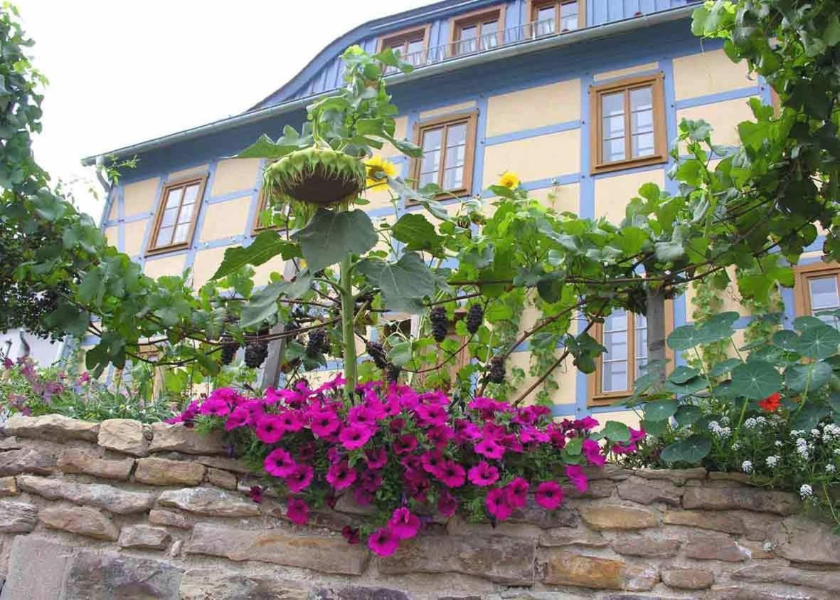 In Der Alten Weinstube Freital Exterior photo