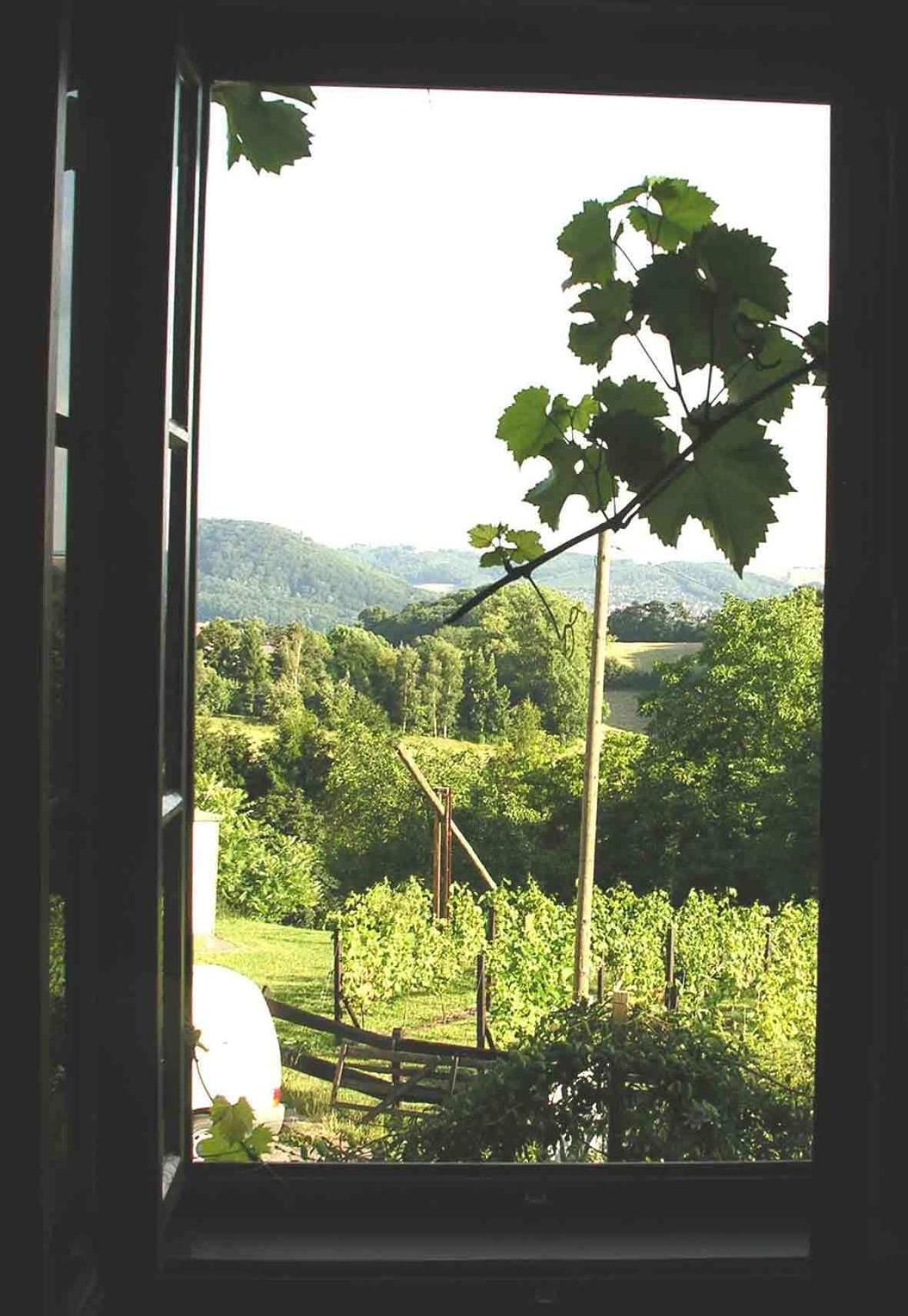 In Der Alten Weinstube Freital Exterior photo